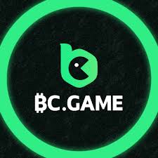 Everything You Need to Know About BCGAME Withdrawal 16 Everything You Need to Know About BCGAME Withdrawal 16