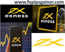Exploring the World of Trading with Exness Exploring the World of Trading with Exness