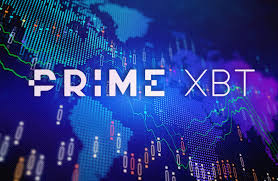 Understanding PrimeXBT Copy Trading 0 Understanding PrimeXBT Copy Trading 0